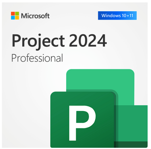 Licenta Project Professional 2024 - Retail